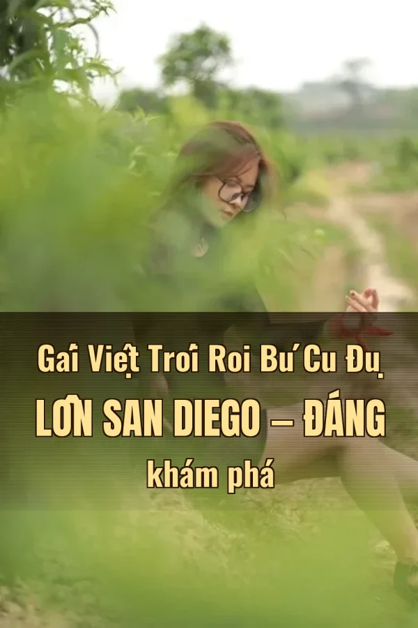 Gái Việt Trói Roi Bú Cu Đụ Lồn San Diego — Đáng khám phá
